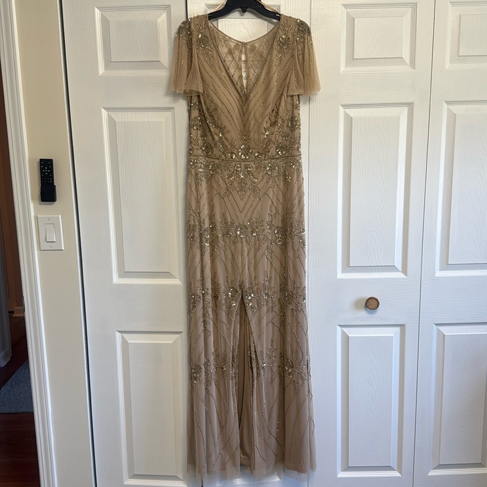 Mother of The Bride Dress- Adrianna Papell